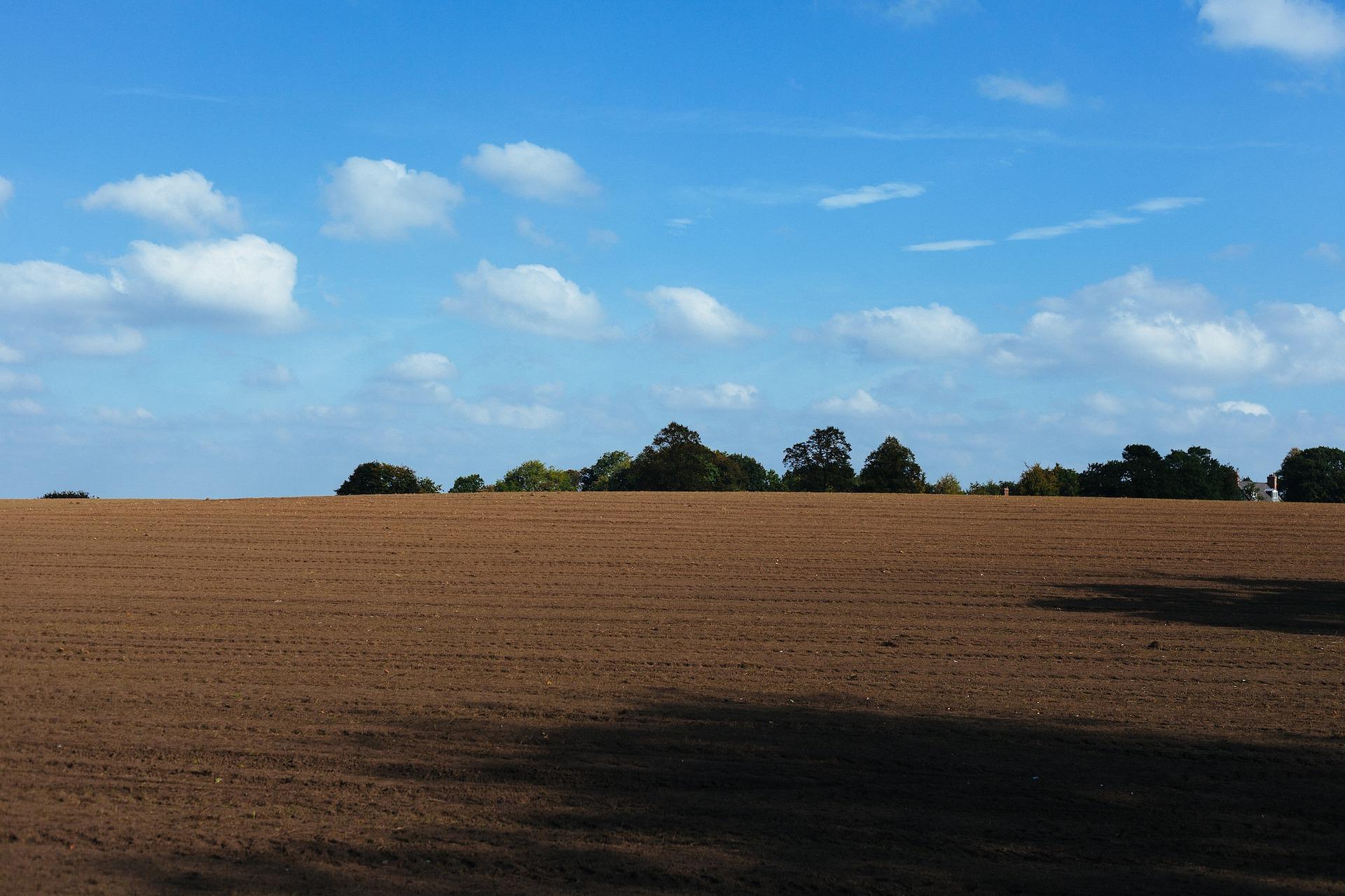 Dirt field with trees in the background