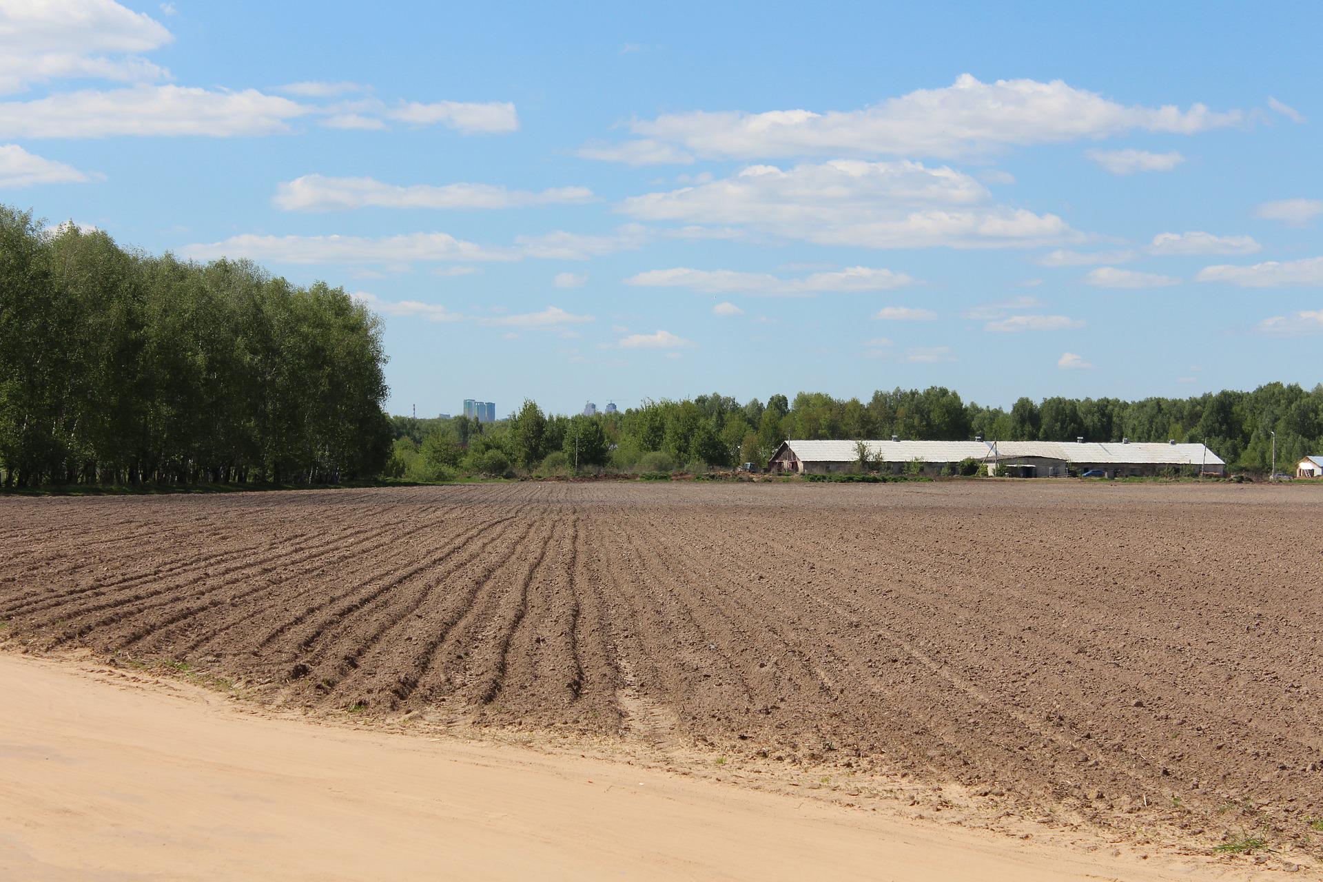Dirt field with trees in the background