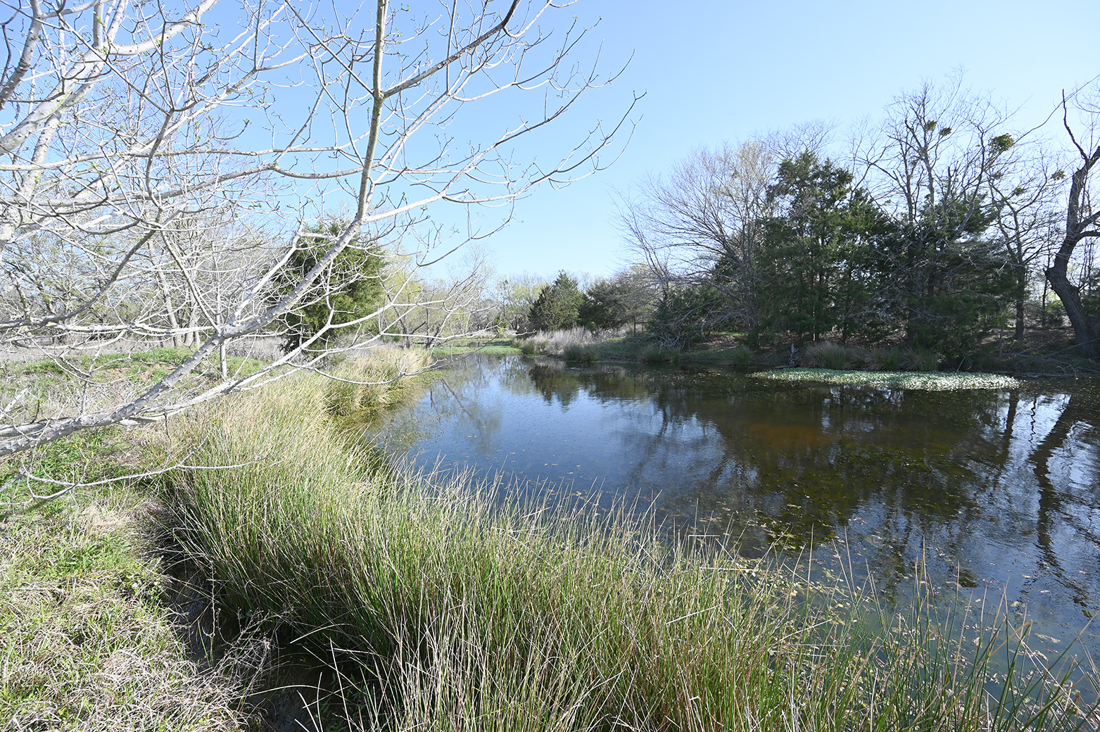 4104_pond_A