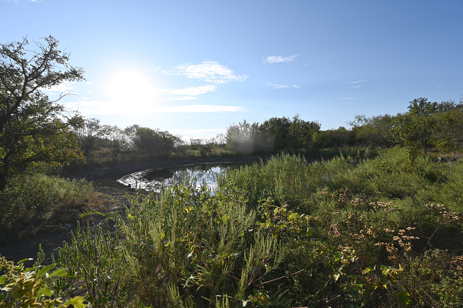 Eastland_224_2048_W_75