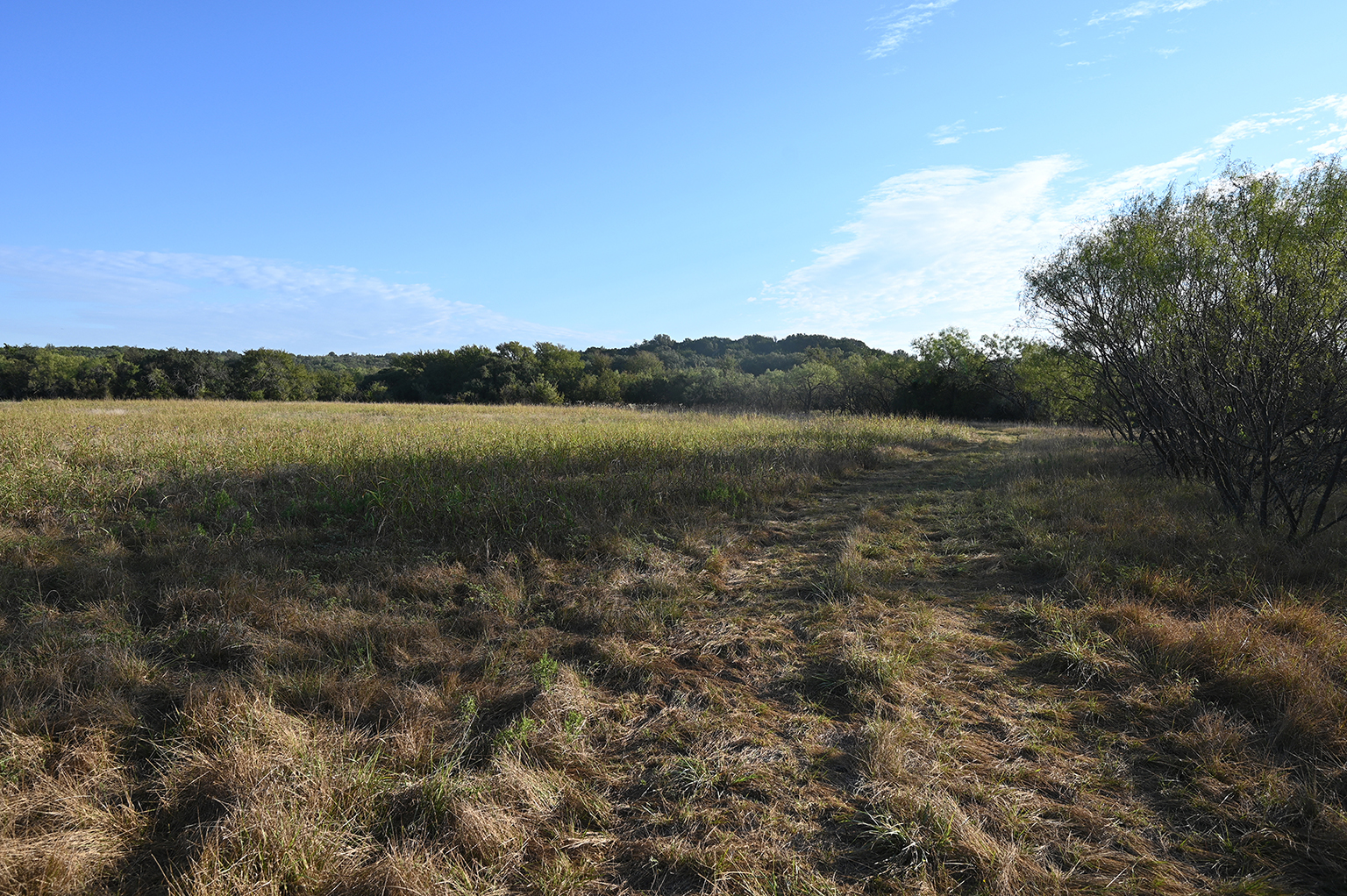 Eastland_224_2048_Y_75