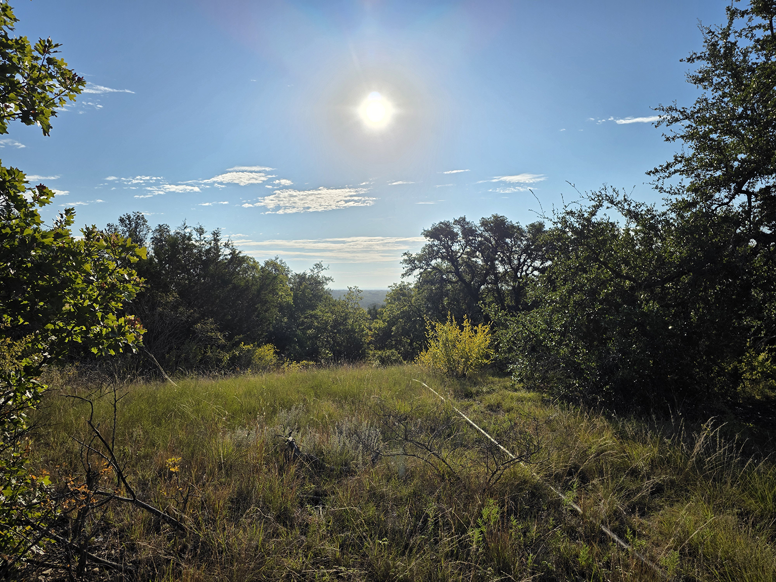 Eastland_224_2048_zzz_75