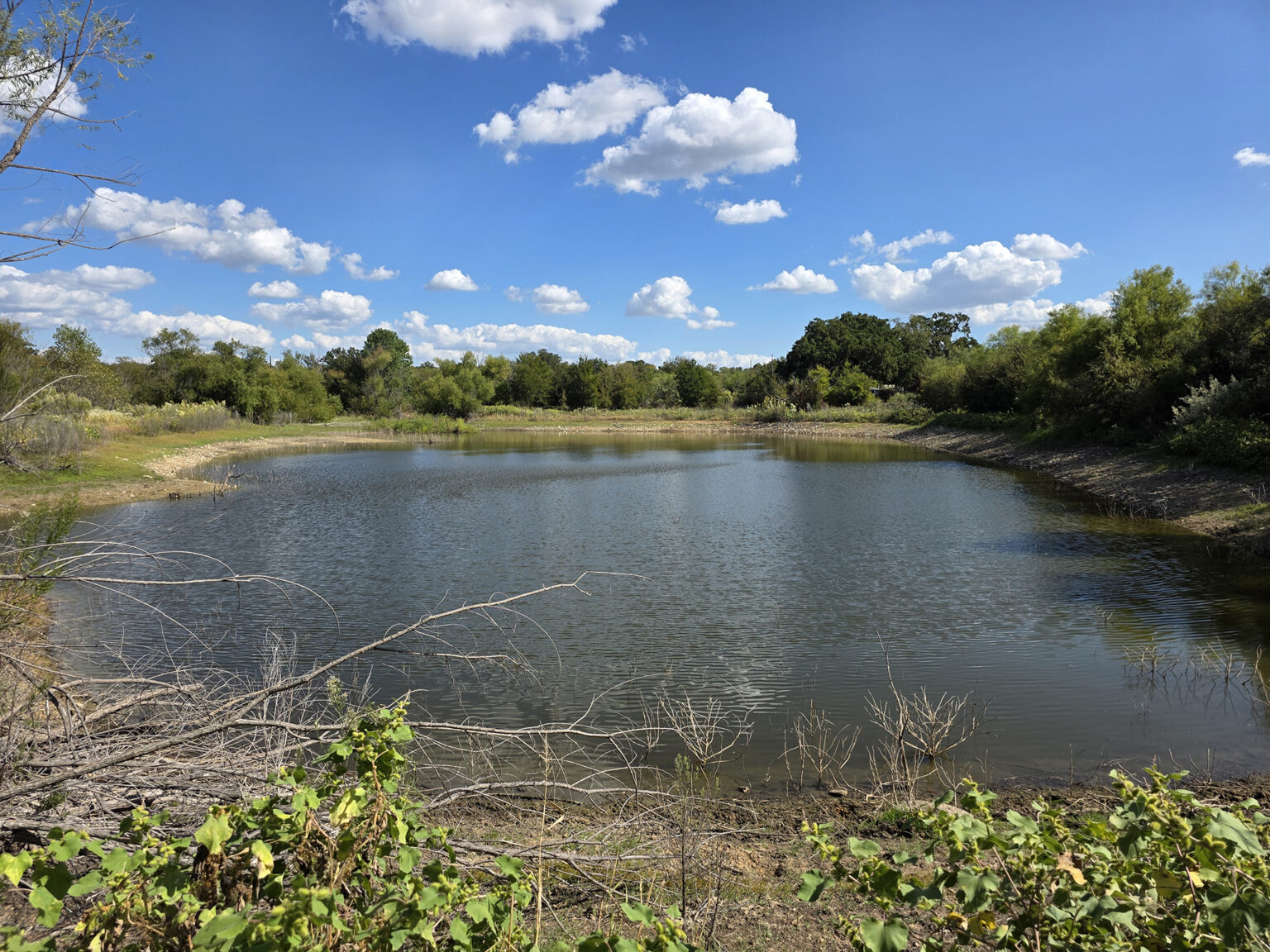 Eastland_224_Tank_AA_LOT_2048