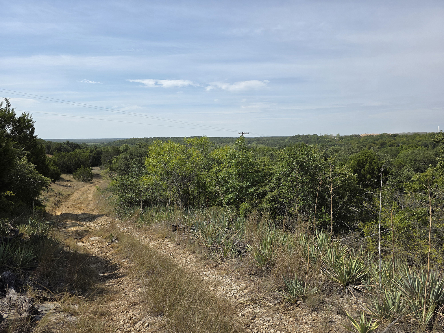 Eastland_224_eyelevel_A_75