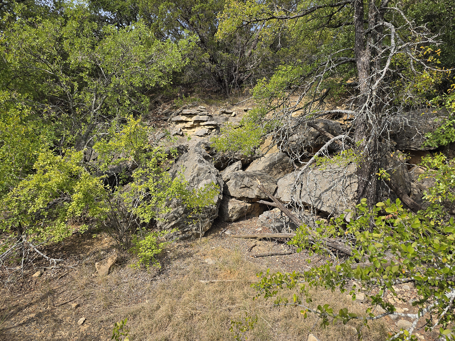 Eastland_224_eyelevel_B_75