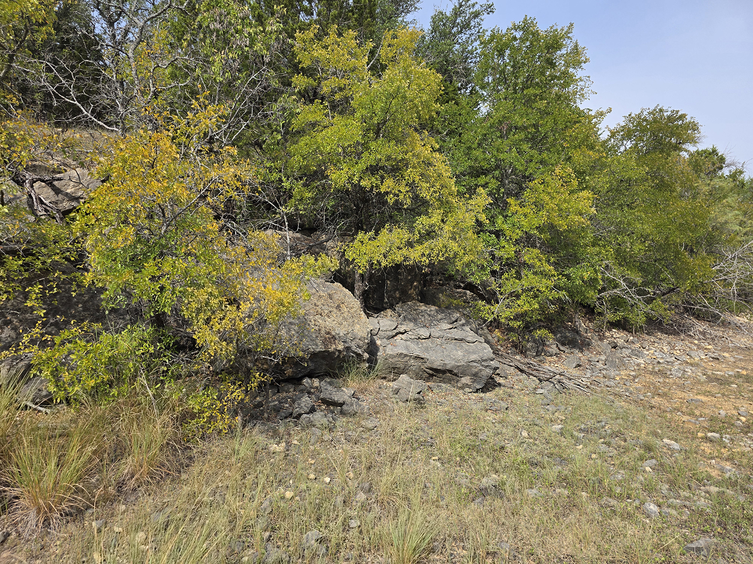 Eastland_224_eyelevel_C_75