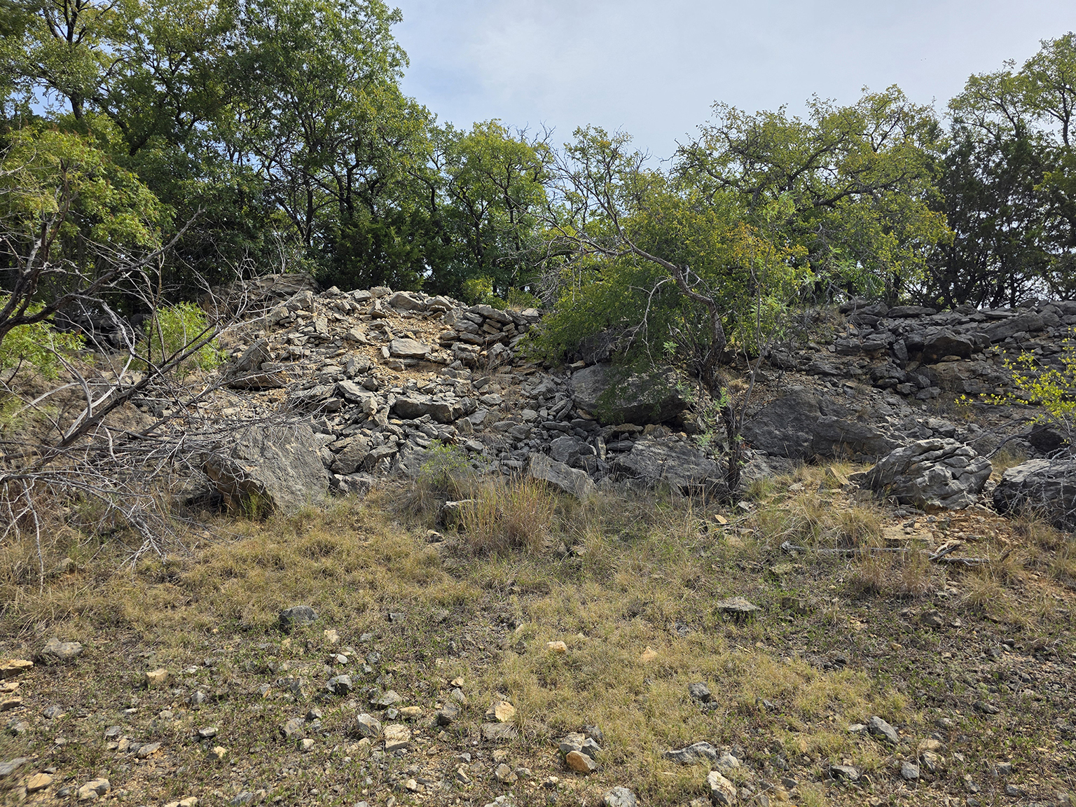 Eastland_224_eyelevel_G_75