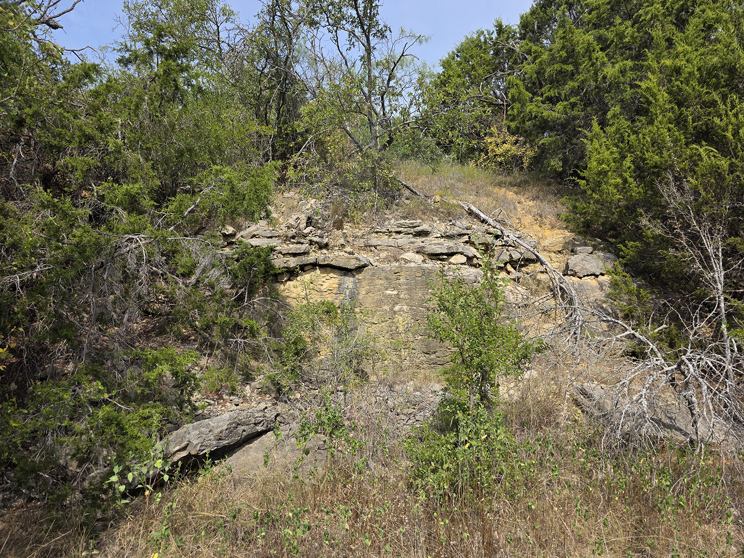 Eastland_224_eyelevel_J_75