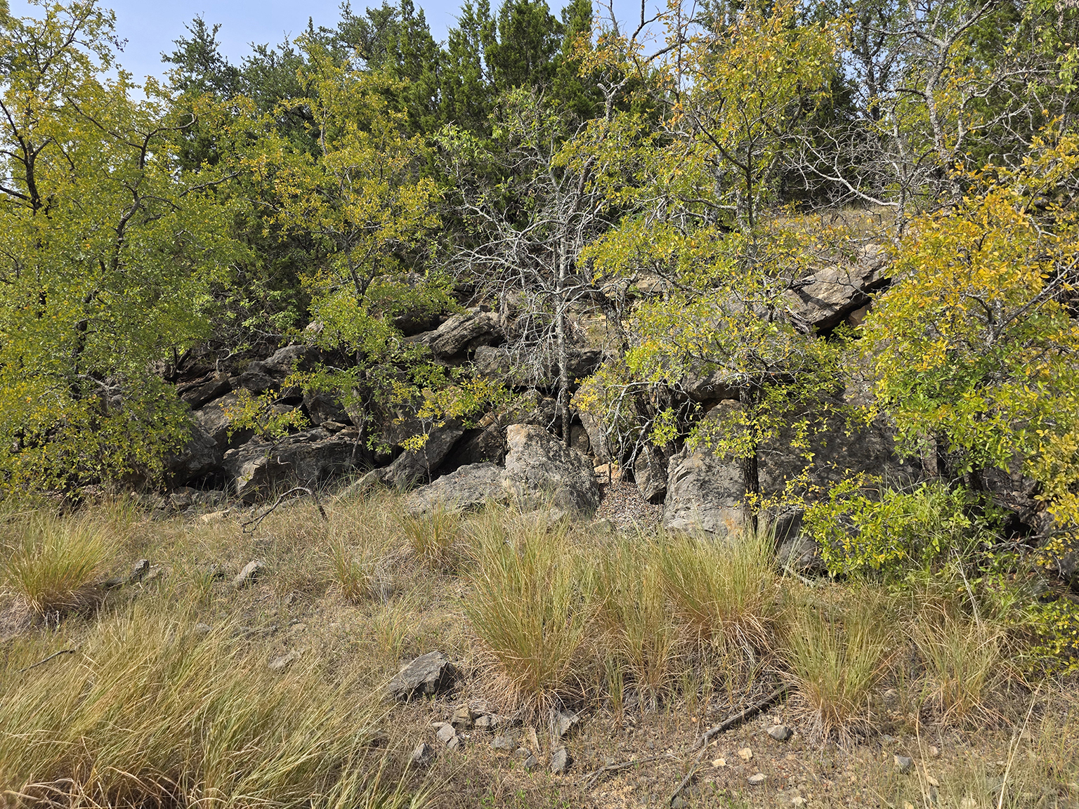 Eastland_224_eyelevel_K_75