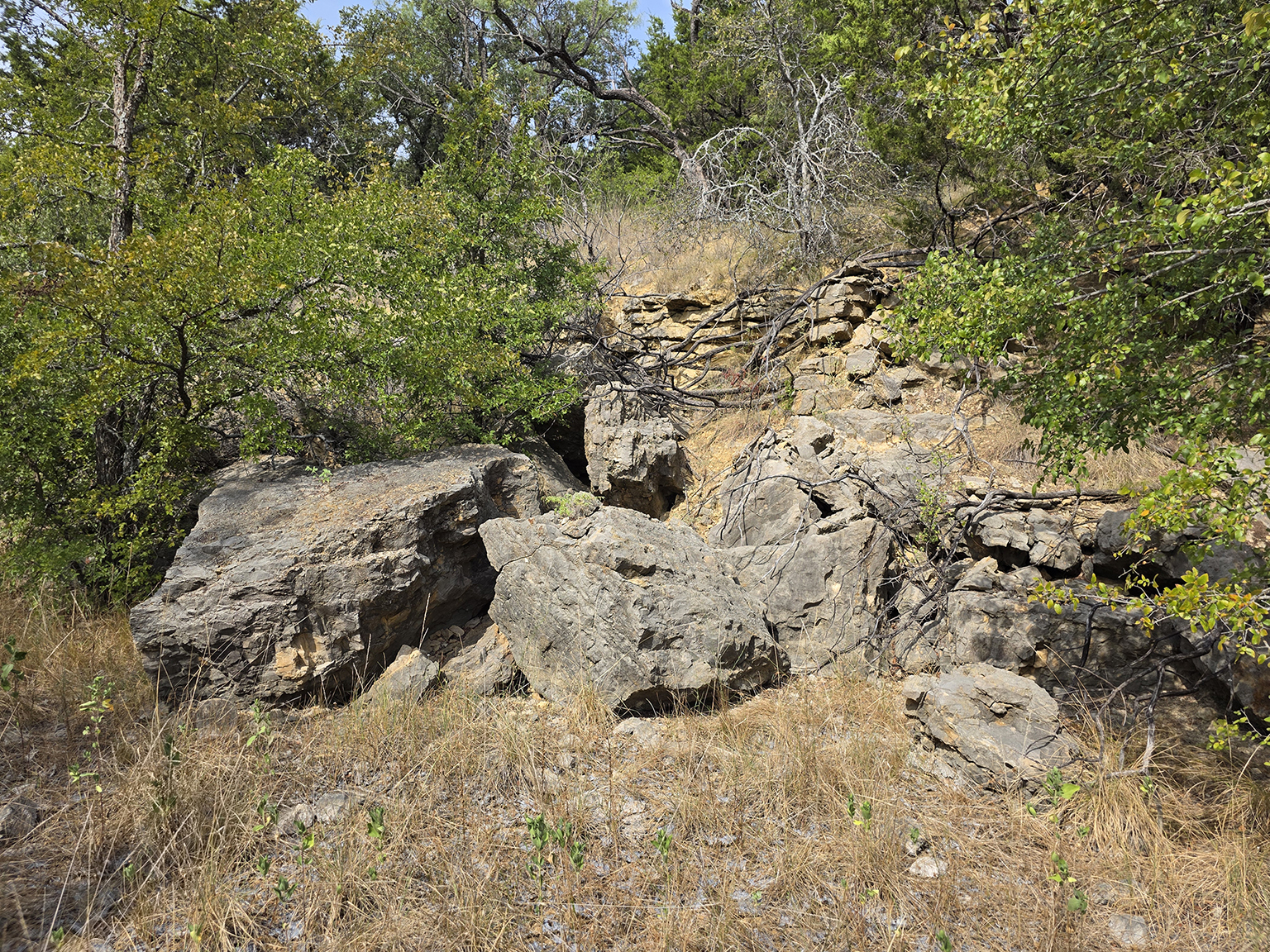 Eastland_224_eyelevel_L_75