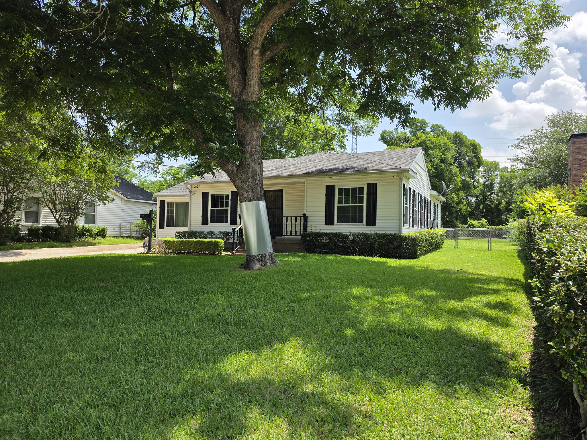 Hermosa_front_yard_c
