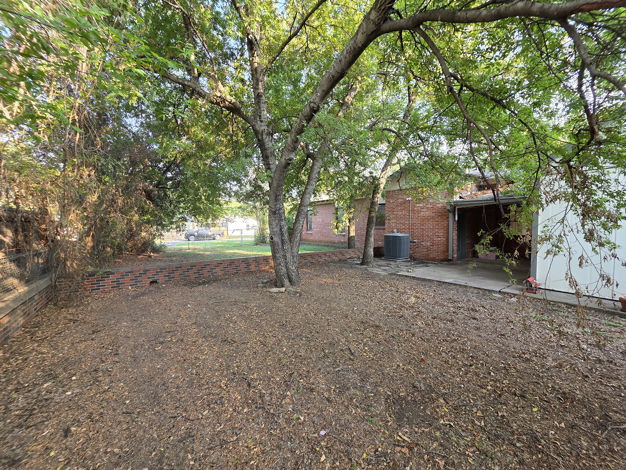 901_backyard
